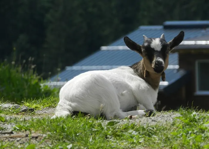 Blasbichlerhof Affittacamere
